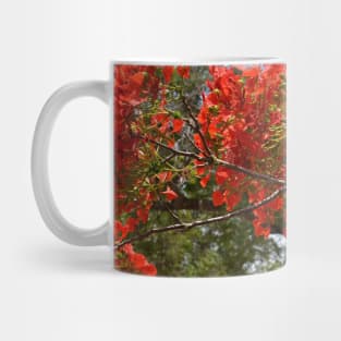 Flamboyant Mug